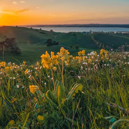 Selliner Hof Hotel 3*