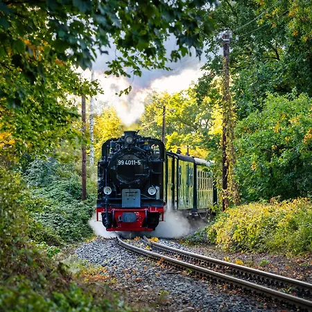 Hotel Selliner Hof 3*